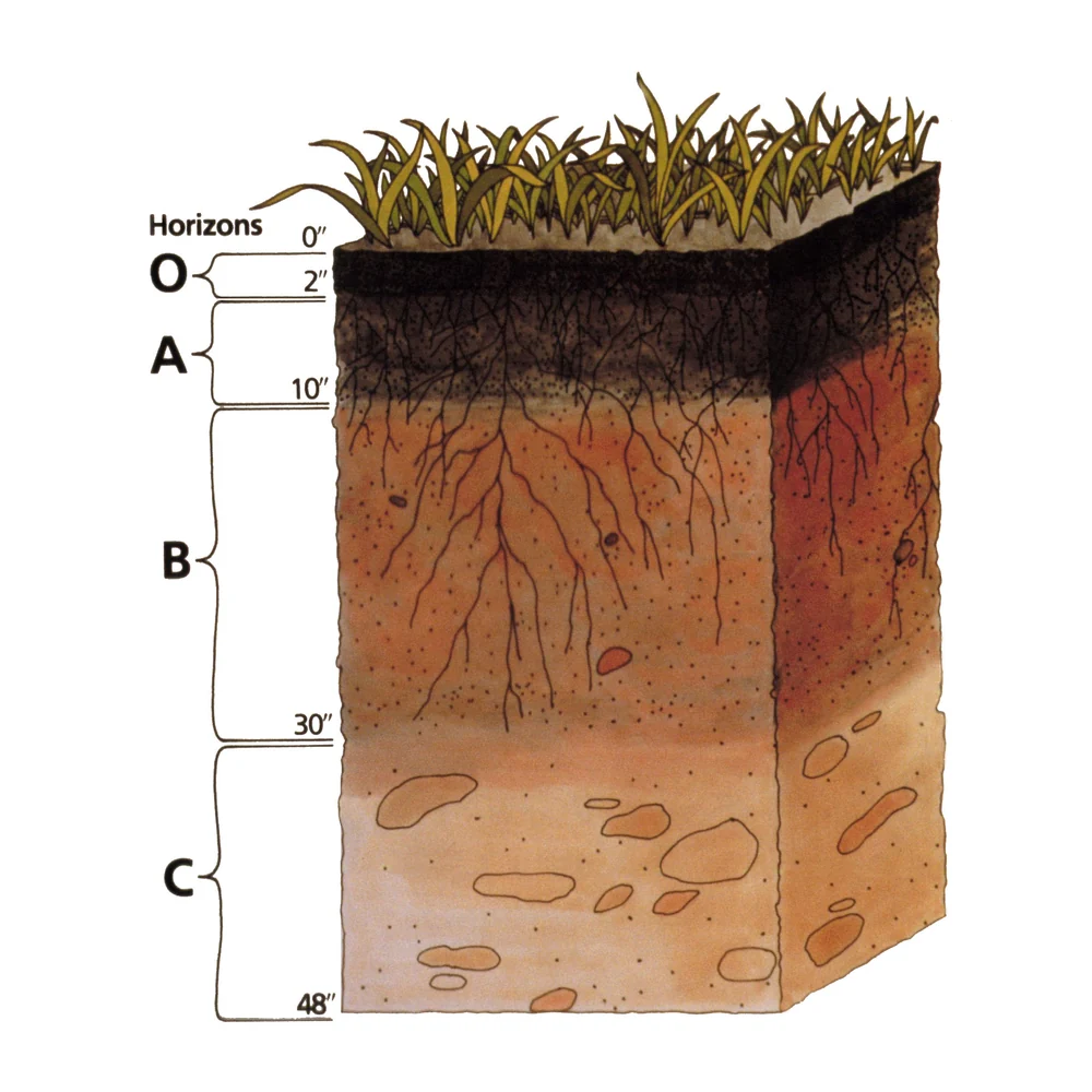 Soil profile diagram showing layers that affect septic suitability on steep mountain lots in Buncombe County and Asheville NC.